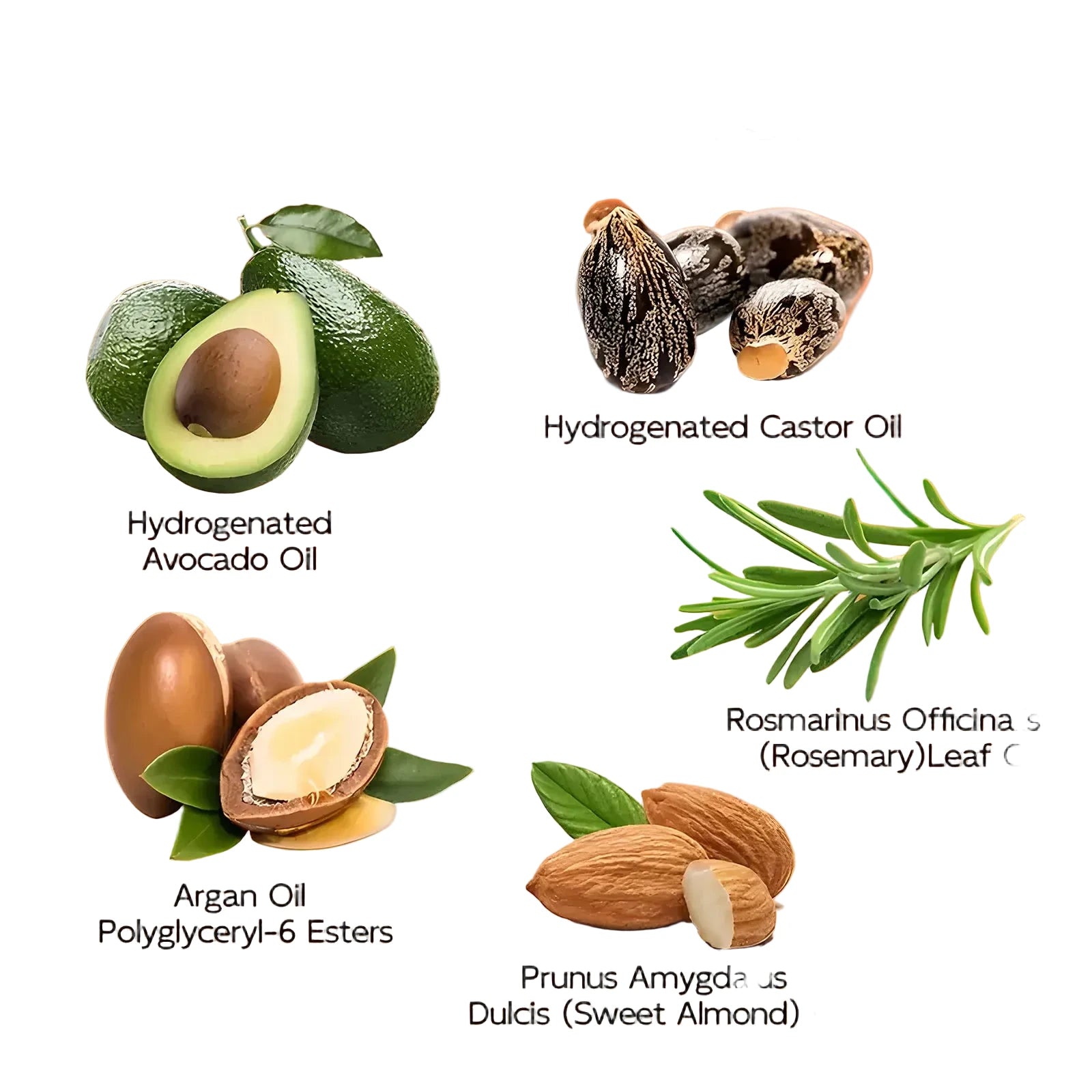 Huile de ricin noire pour soin et définition des cheveux bouclés